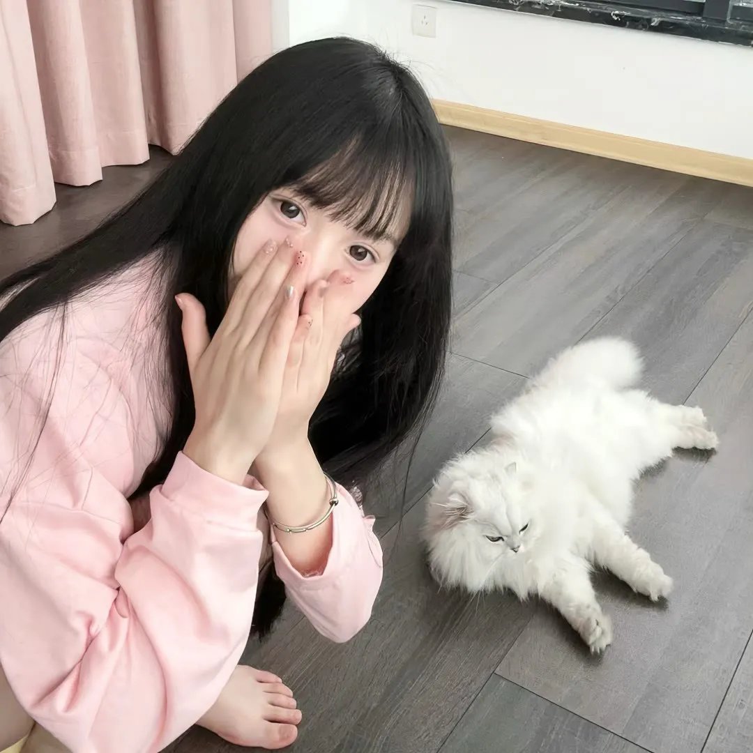 运动高飞狗